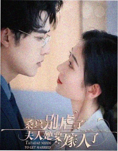 第七区档案剧集封面